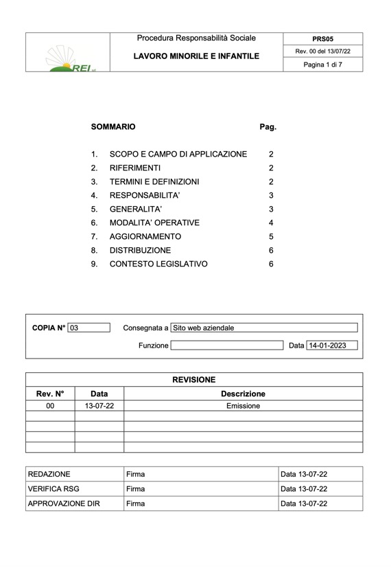 REI Srl - Procedura Lavoro Minorile-Infantile